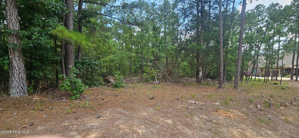 Photo of 2 Amelia Drive, McCormick, SC 29835 (MLS # 100596257)