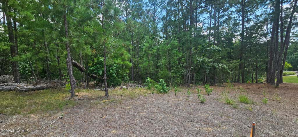 Photo of 2 Amelia Drive, McCormick, SC 29835 (MLS # 100596257)