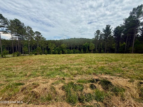 Vacant Land For Sale - 115 Stables Loop<br/> Blairsville, GA 30512