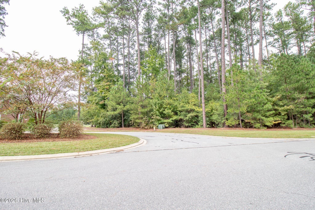 Photo of 3255 Fords Colony Drive, Rocky Mount, NC 27804 (MLS # 100608358)