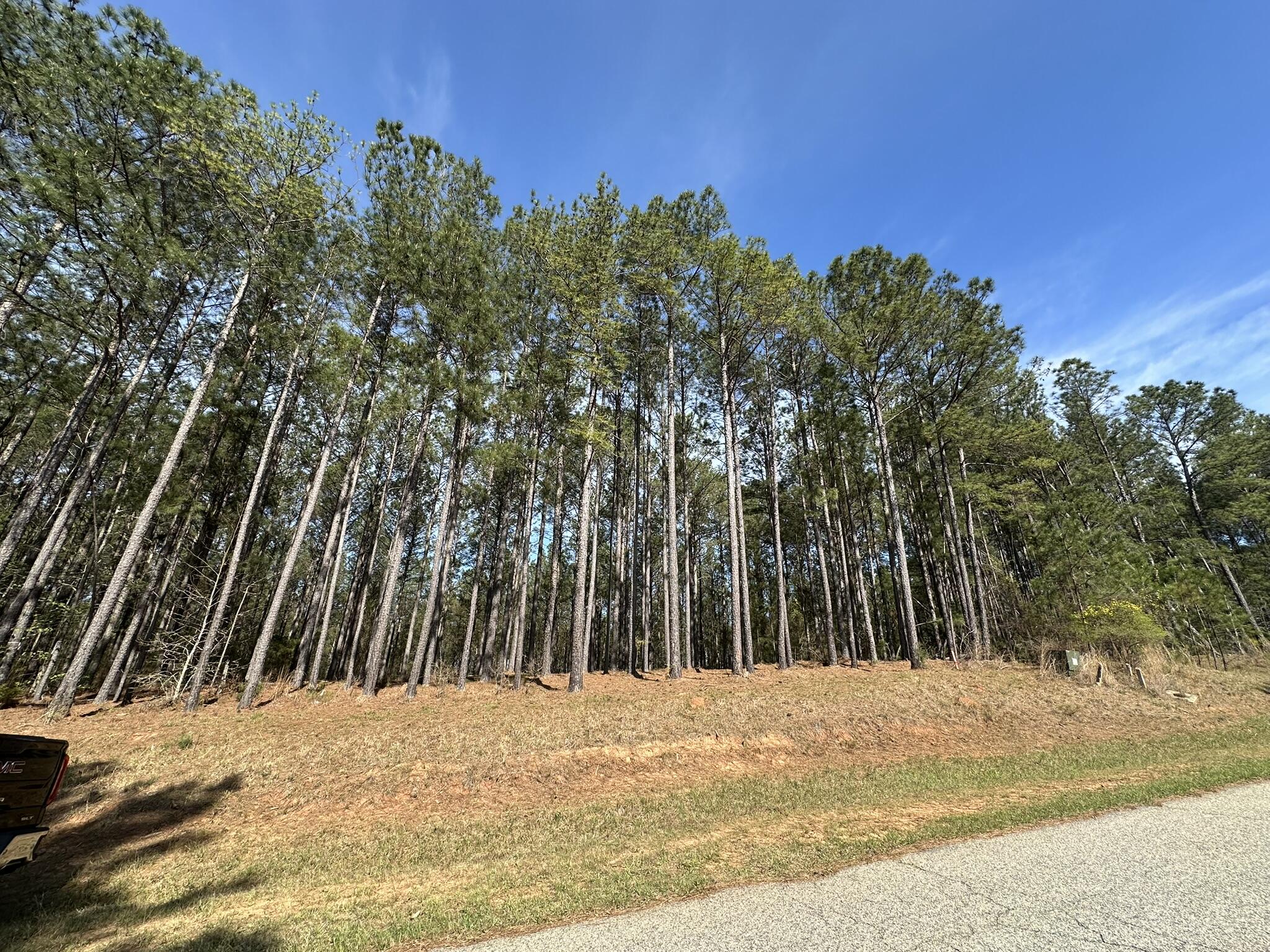 Lot 65 65 Maiden Cane Way