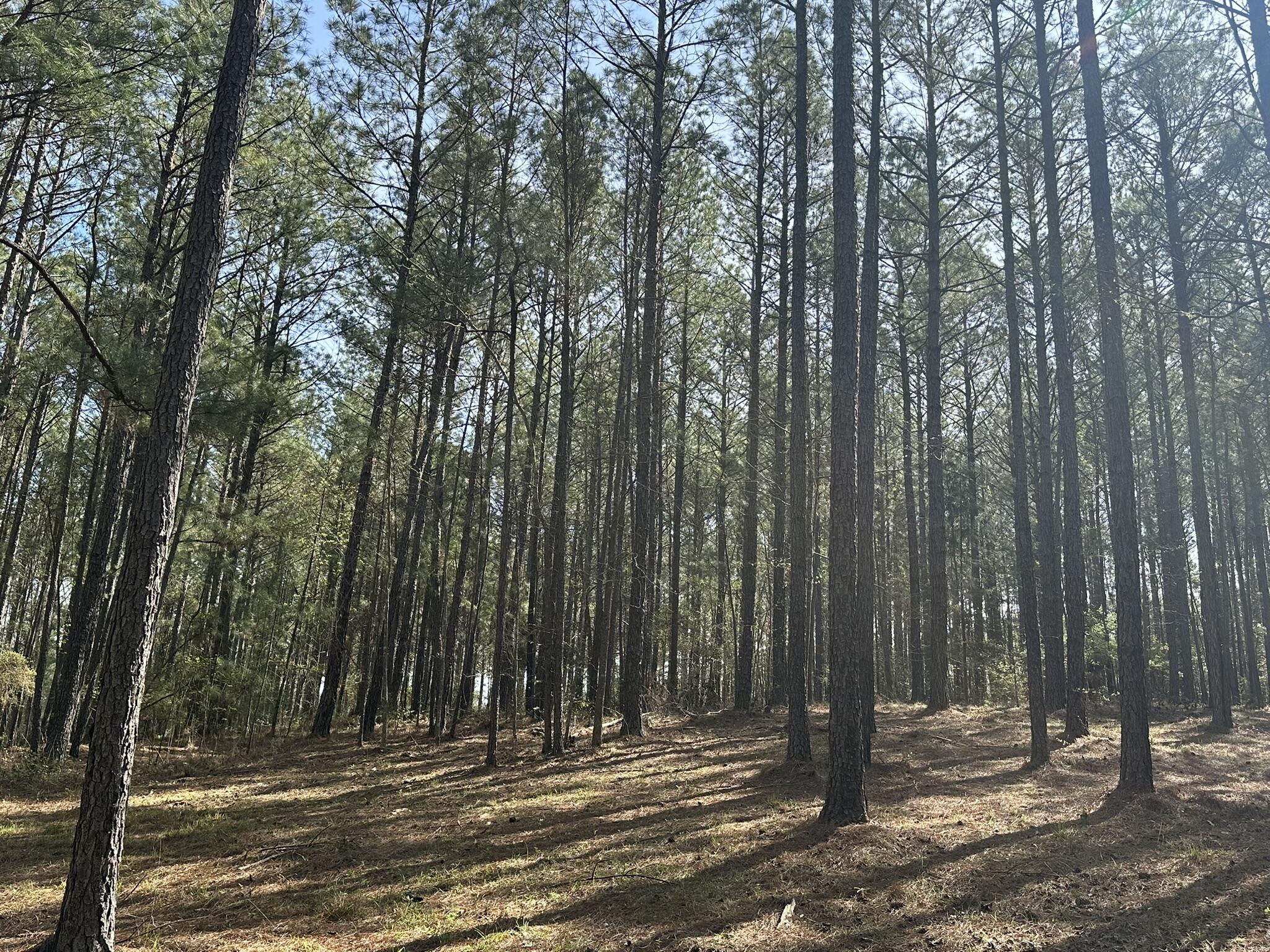 Lot 65 65 Maiden Cane Way