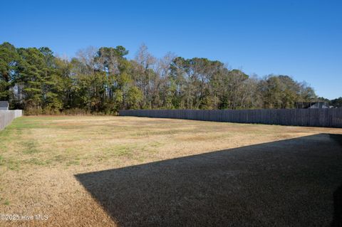 Tiny photo for 309 James Hedrick Court, Jacksonville, NC 28540 (MLS # 100544782)