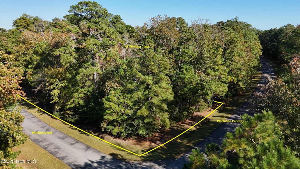 Photo of 42 Winding Creek Drive, Oriental, NC 28571 (MLS # 100539273)