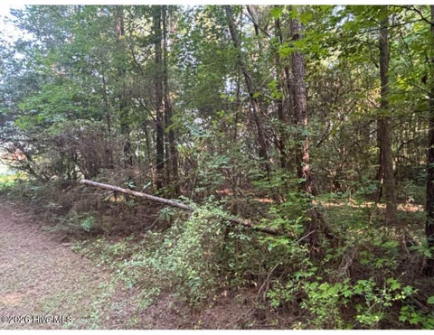 Tiny photo for 3611 New Bern Highway, Jacksonville, NC 28546 (MLS # 100586968)