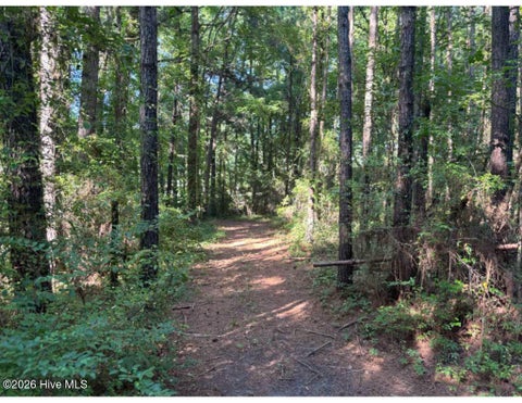 Tiny photo for 3611 New Bern Highway, Jacksonville, NC 28546 (MLS # 100586968)