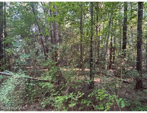 Tiny photo for 3611 New Bern Highway, Jacksonville, NC 28546 (MLS # 100586968)