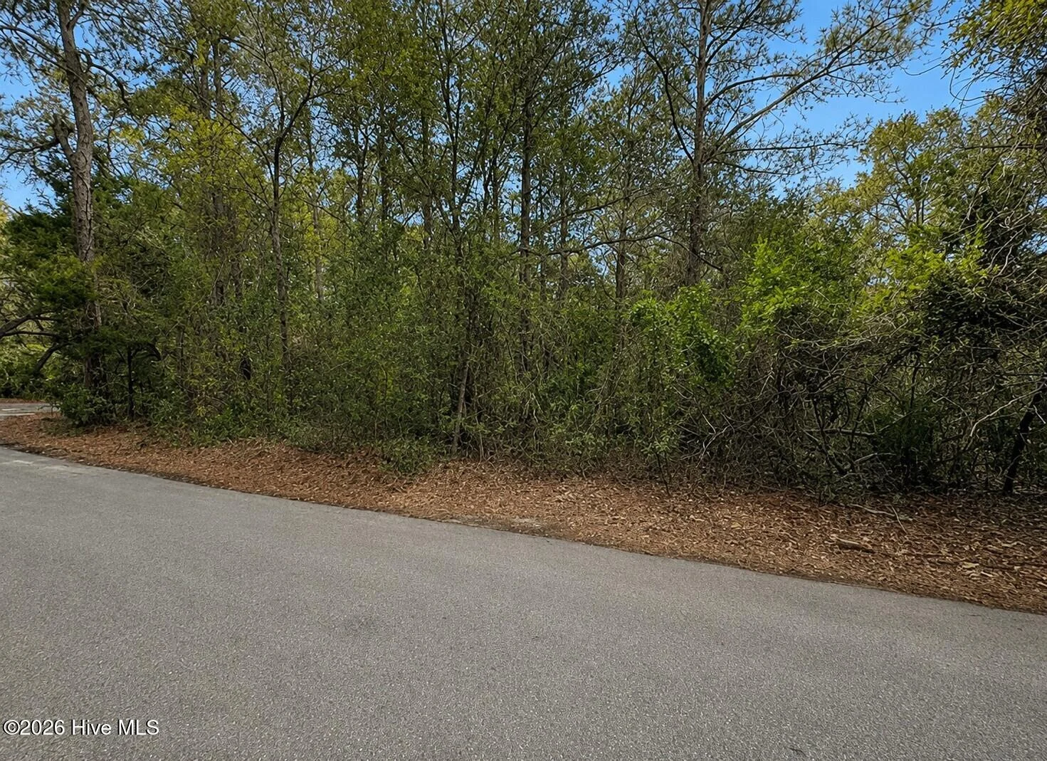 4 Dowitcher Trail