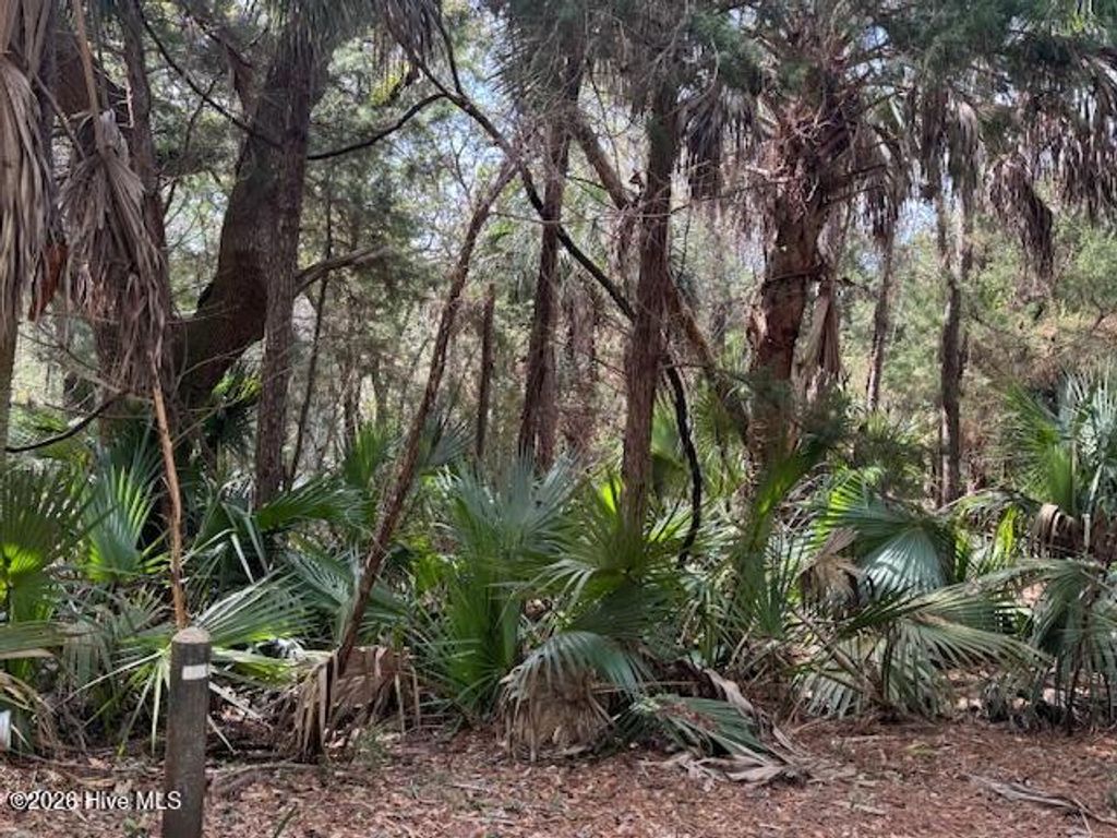 Photo of 4 Dowitcher Trail, Bald Head Island, NC 28461 (MLS # 100558444)