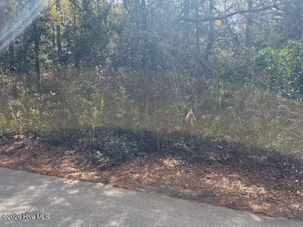 Photo of 4 Dowitcher Trail, Bald Head Island, NC 28461 (MLS # 100558444)