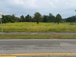 Photo of 3582 Highway 88, Blythe, GA 30805 (MLS # 100605524)
