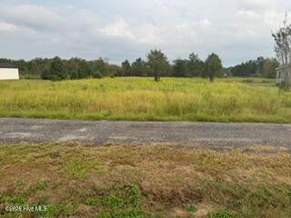 Photo of 3582 Highway 88, Blythe, GA 30805 (MLS # 100605524)