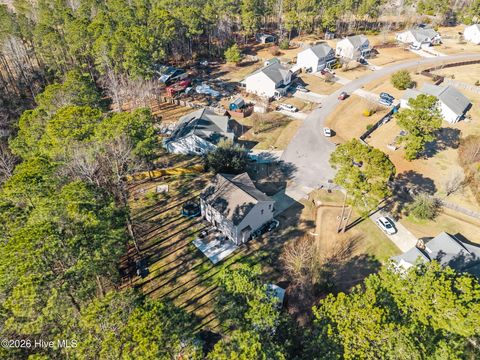 Tiny photo for 607 Blue Diamond Court, Jacksonville, NC 28540 (MLS # 100550598)