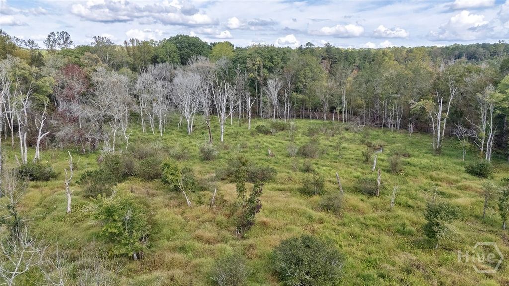 Photo of 0 Old Salem Rd #Tract 4, Watkinsville, GA 30677 (MLS # CL348501)