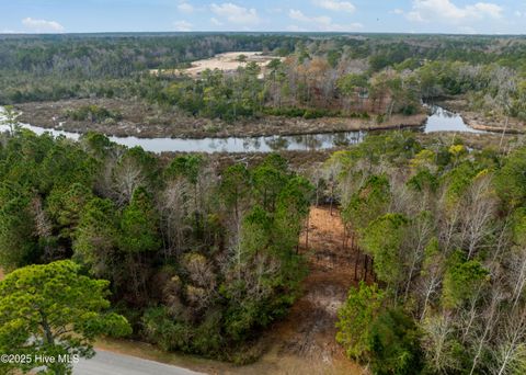 Tiny photo for 230 Kings Creek Crossing, Holly Ridge, NC 28445 (MLS # 100545184)