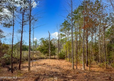 Tiny photo for 230 Kings Creek Crossing, Holly Ridge, NC 28445 (MLS # 100545184)