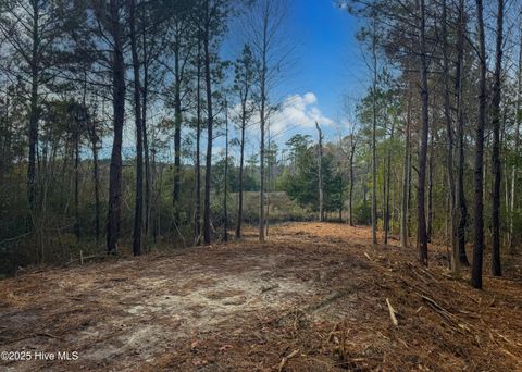 Tiny photo for 230 Kings Creek Crossing, Holly Ridge, NC 28445 (MLS # 100545184)