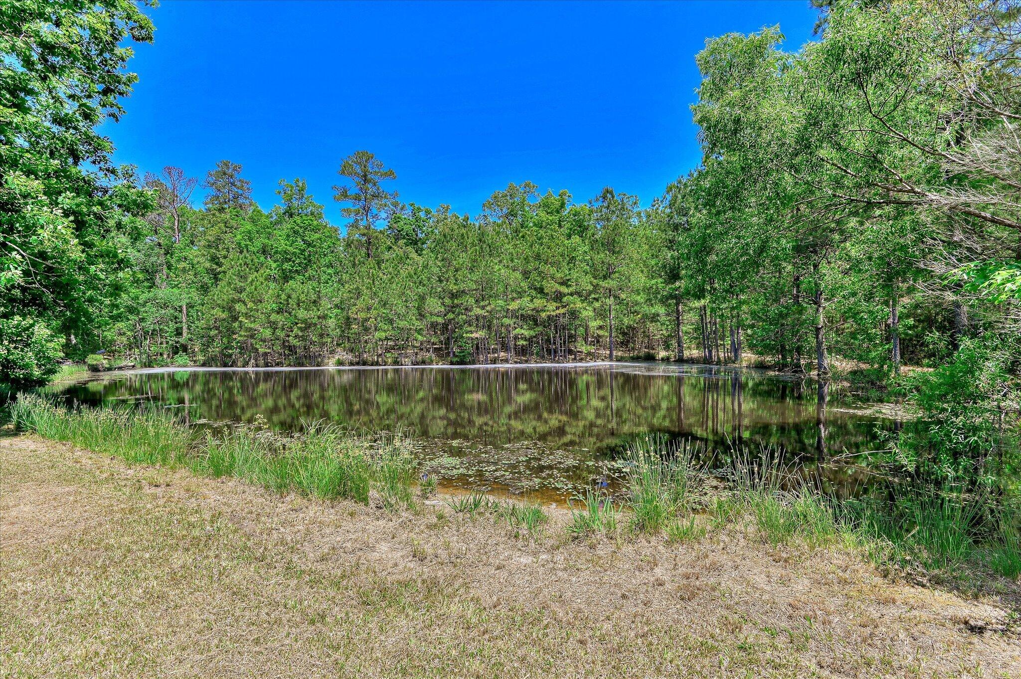 1154 Water Oak Drive
