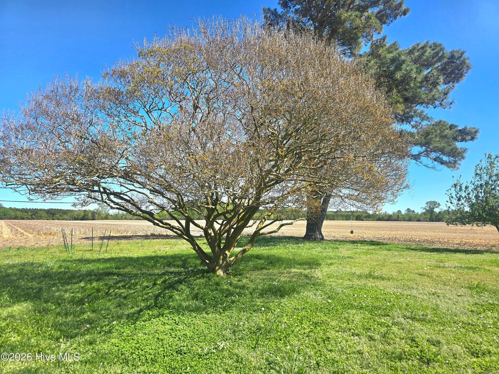 Photo of 1587 Salem Church Road, Elizabeth City, NC 27909 (MLS # 100566437)