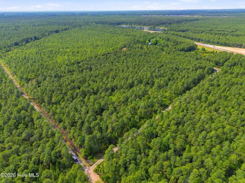 Tiny photo for 221 Plantation Road, Wilmington, NC 28411 (MLS # 100572285)