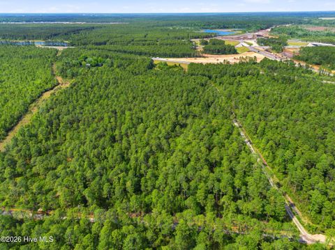 Tiny photo for 221 Plantation Road, Wilmington, NC 28411 (MLS # 100572285)