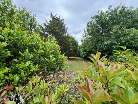 Tiny photo for 1221 S 8th Street, Wilmington, NC 28401 (MLS # 100600848)