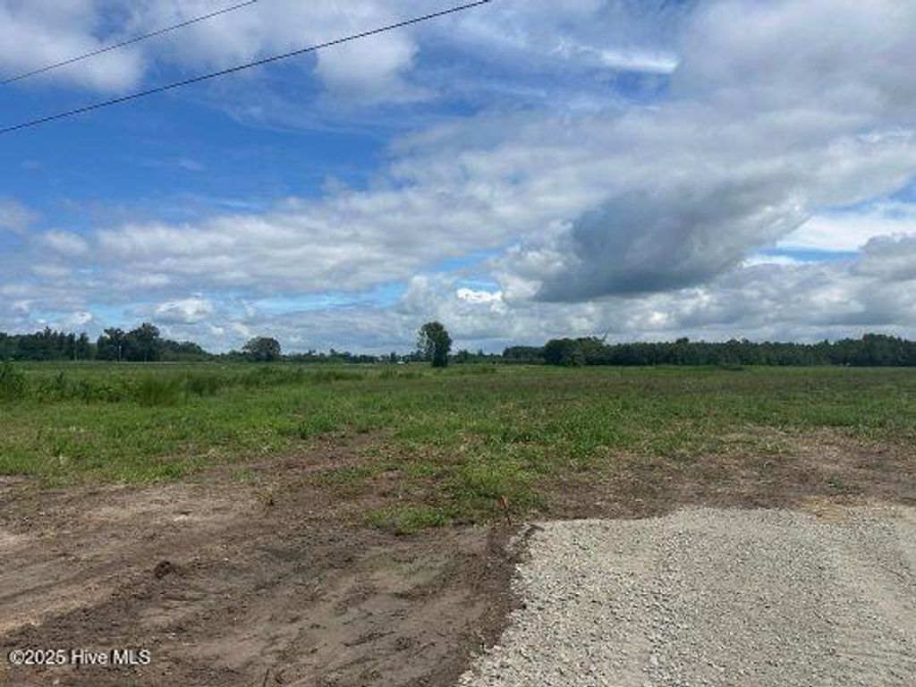 Photo of 1076 Gum Swamp Church Road, Greenville, NC 27834 (MLS # 100553905)