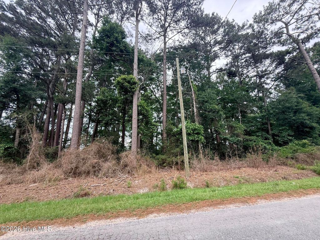 Photo of 0 Idlewild Drive, Greenville, NC 27834 (MLS # 100578309)