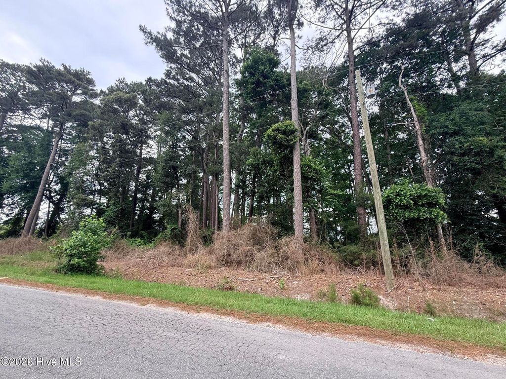 Photo of 0 Idlewild Drive, Greenville, NC 27834 (MLS # 100578309)