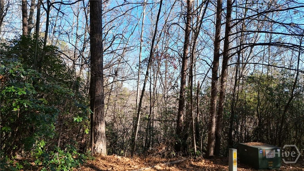 Photo of 0 Gold Valley Road, Sautee Nacoochee, GA 30571 (MLS # CL345737)