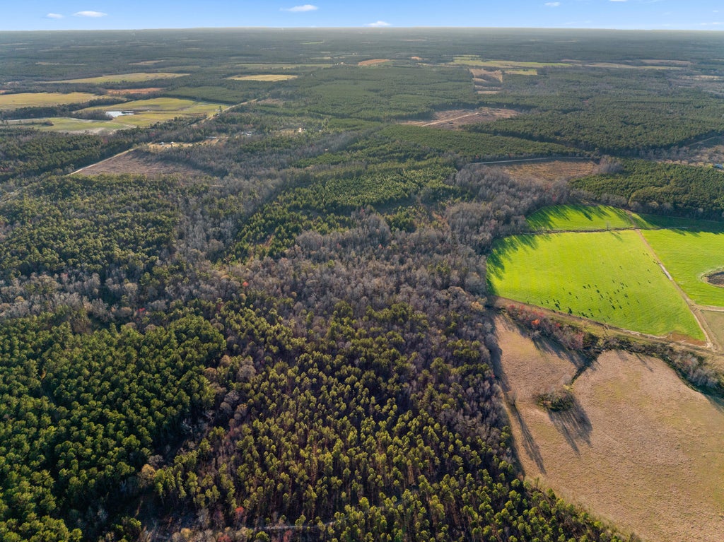 Photo of 00 Thomas Road, Millen, GA 30442 (MLS # 100603398)