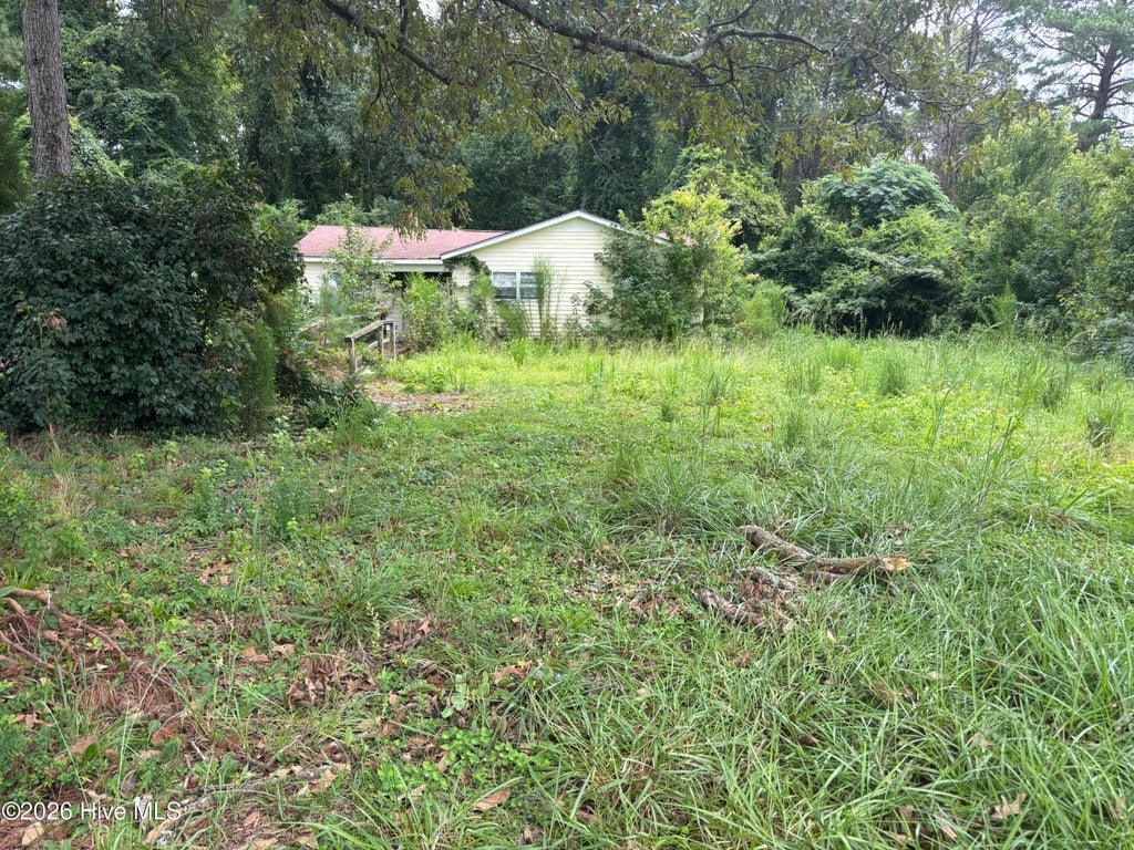 Photo of 1488 Swamp Road, Pantego, NC 27860 (MLS # 100598159)