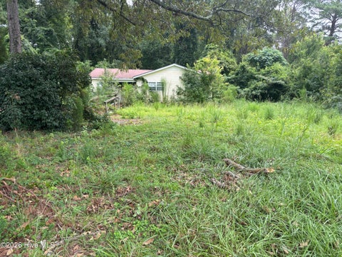 Homes For Sale - 1488 Swamp Road<br/> Beaufort County, Pantego, NC 27860