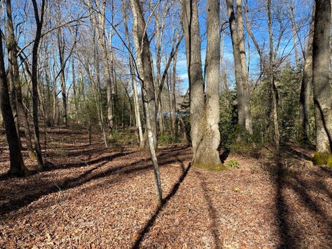 Vacant Land For Sale - TBD Collett Wood Cove<br/> Andrews, NC 28901