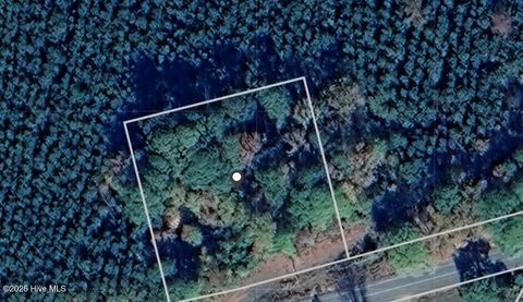 Vacant Land For Sale - 1308 Drum Hill Road<br/> Gates County, Corapeake, NC 27926