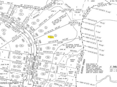 Tiny photo for 289 E Ivybridge Drive, Hubert, NC 28539 (MLS # 100555477)