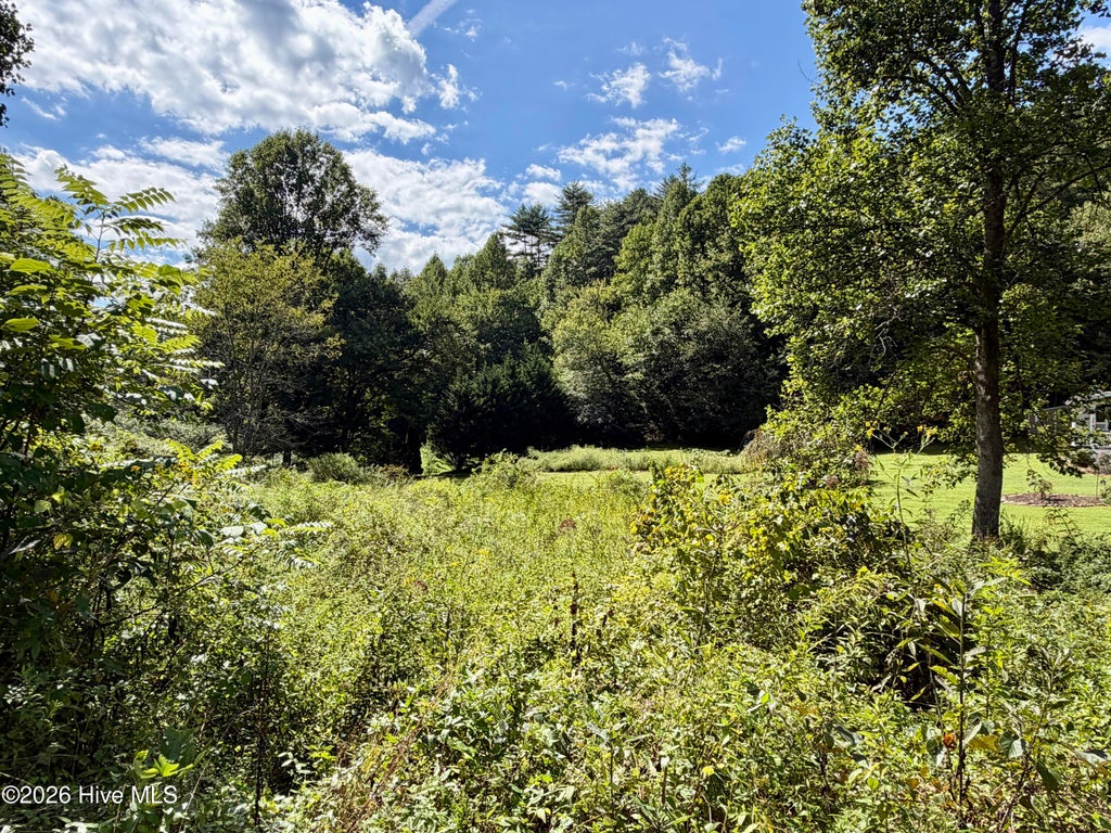 Photo of 71 Heather Ash Brook Drive, Robbinsville, NC 28771 (MLS # 100606596)