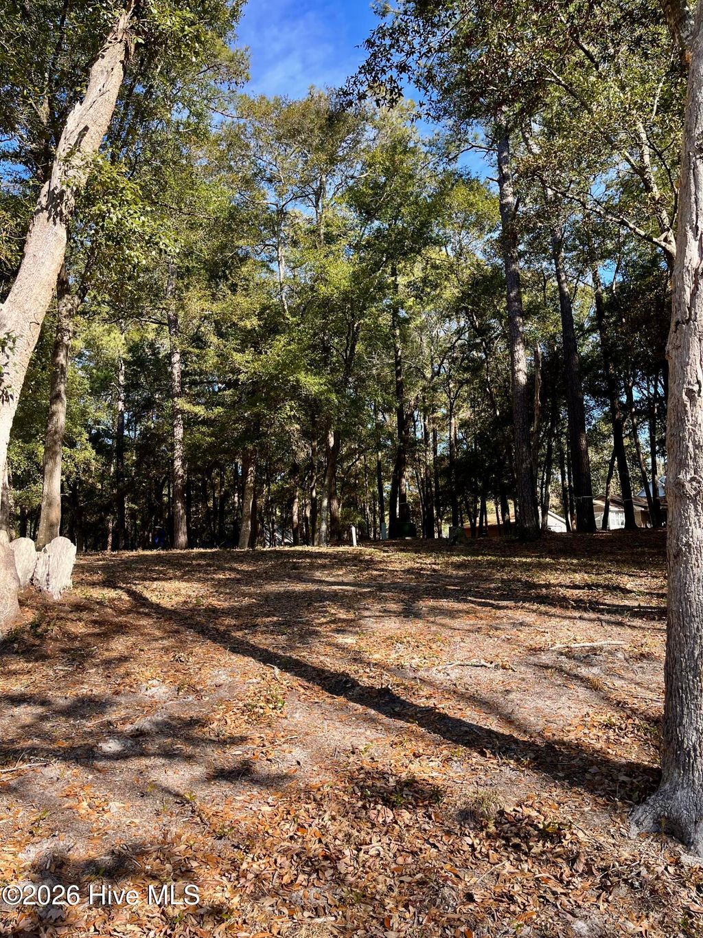 Photo of 651 Folly Drive SE, Bolivia, NC 28422 (MLS # 100552121)