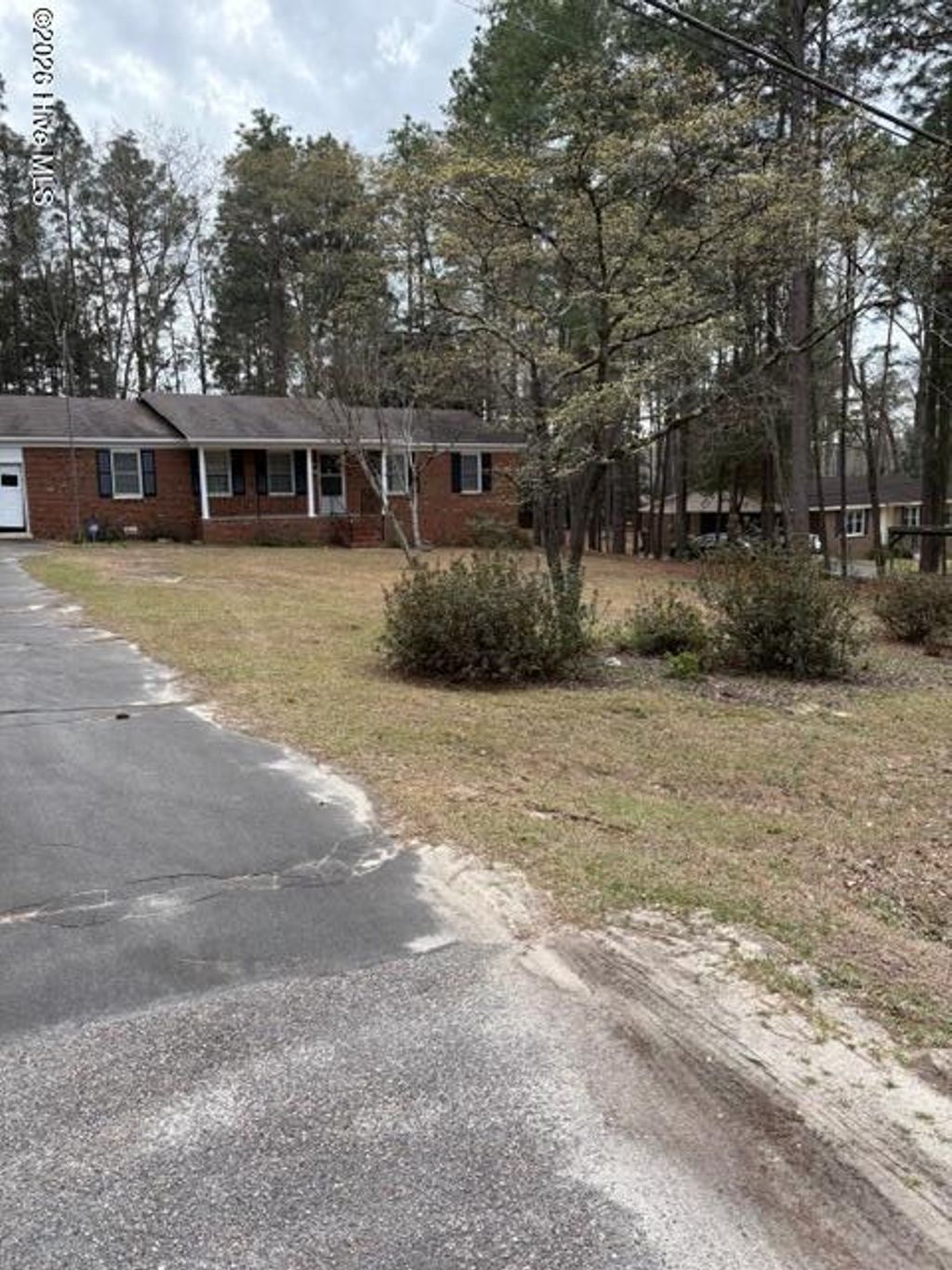 Photo of 185 Bronwyn Street, Southern Pines, NC 28387 (MLS # 100560431)