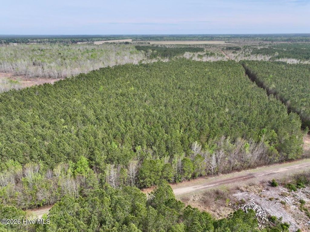 Photo of 0 Guinea Mill Road, Ernul, NC 28527 (MLS # 100566476)