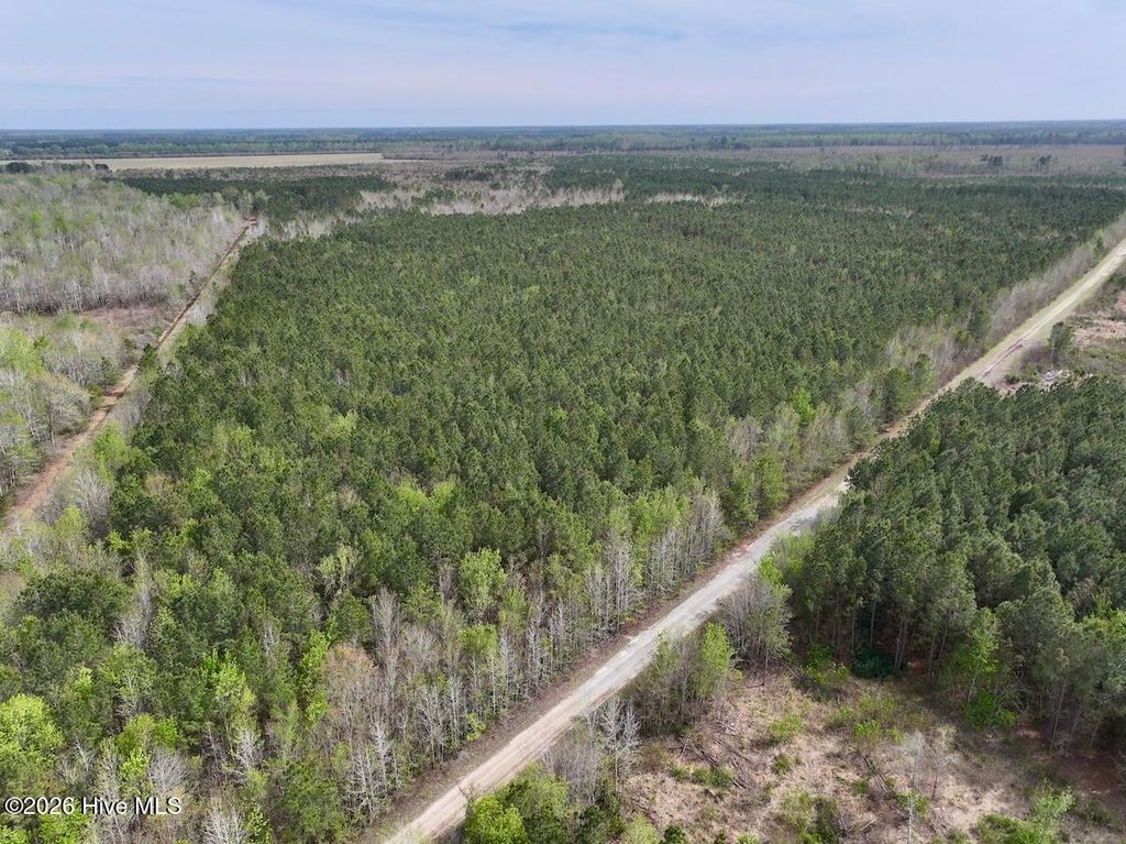 Photo of 0 Guinea Mill Road, Ernul, NC 28527 (MLS # 100566476)