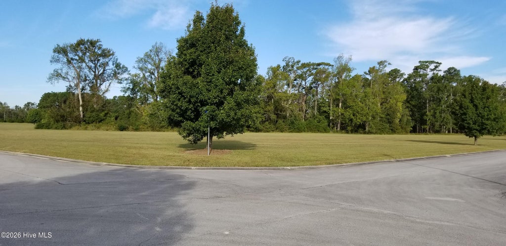 Photo of 32 Josie Way, Arapahoe, NC 28510 (MLS # 100611027)