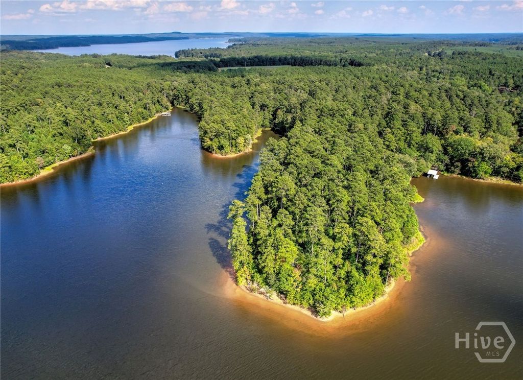 Photo of 1309 Shimmering Water Cove, Tignall, GA 30668 (MLS # CL351830)