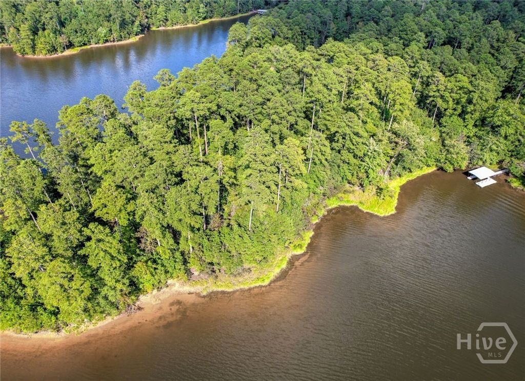 Photo of 1309 Shimmering Water Cove, Tignall, GA 30668 (MLS # CL351830)