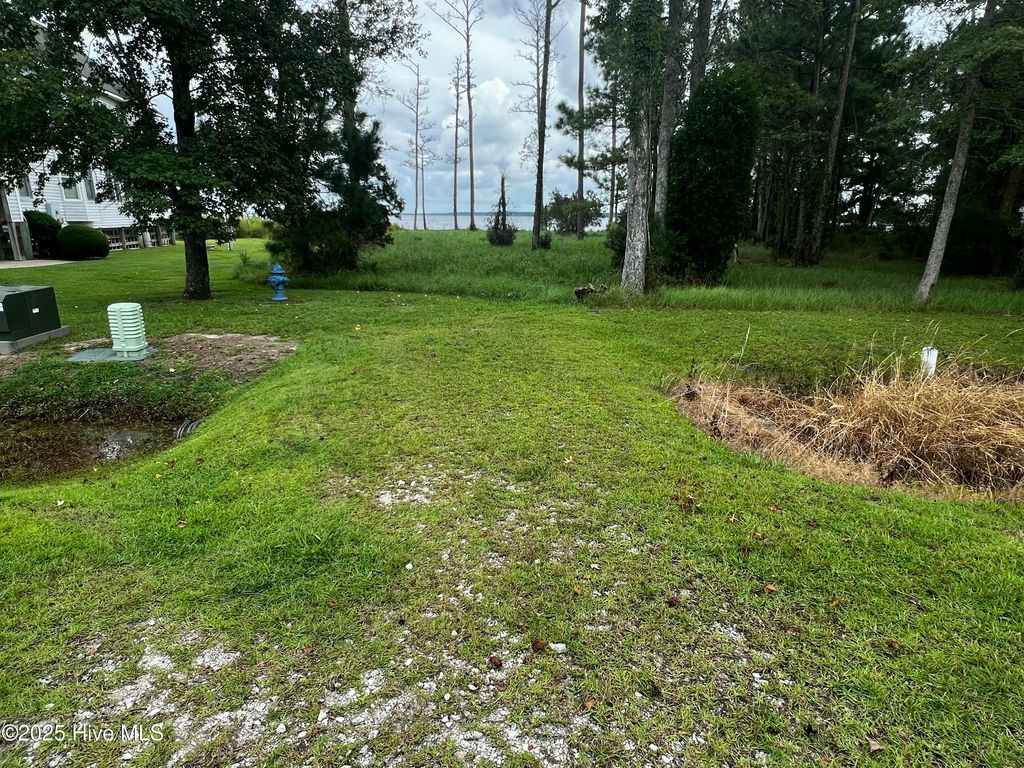 Photo of 2 Dowry Creek E, Belhaven, NC 27810 (MLS # 100528013)