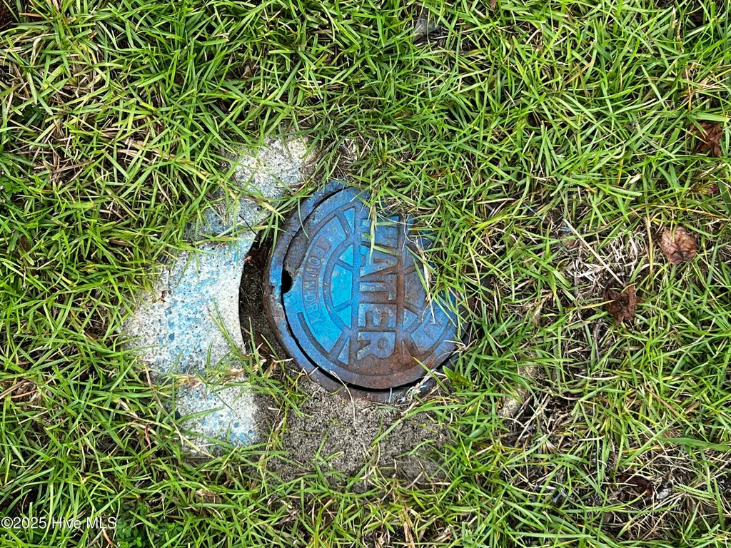 Photo of 2 Dowry Creek E, Belhaven, NC 27810 (MLS # 100528013)