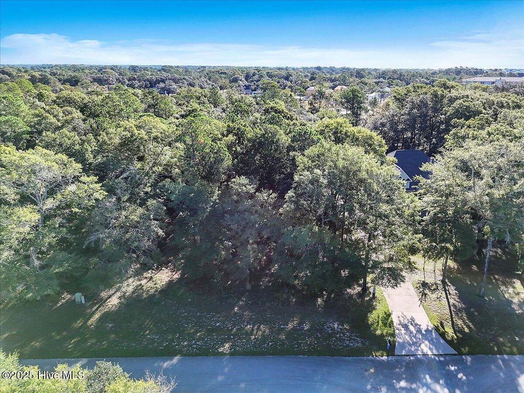 Photo of 3349 Stone Crab Court SW, Supply, NC 28462 (MLS # 100536487)