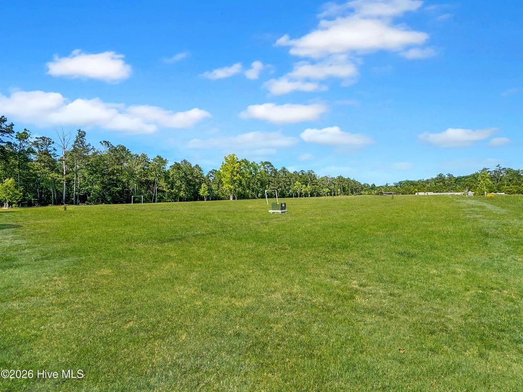 Photo of 75 Dora Rosas Lane, Tabor City, NC 28463 (MLS # 100574757)