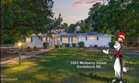 Photo of 1801 E Mulberry Street, Goldsboro, NC 27530 (MLS # 100604797)