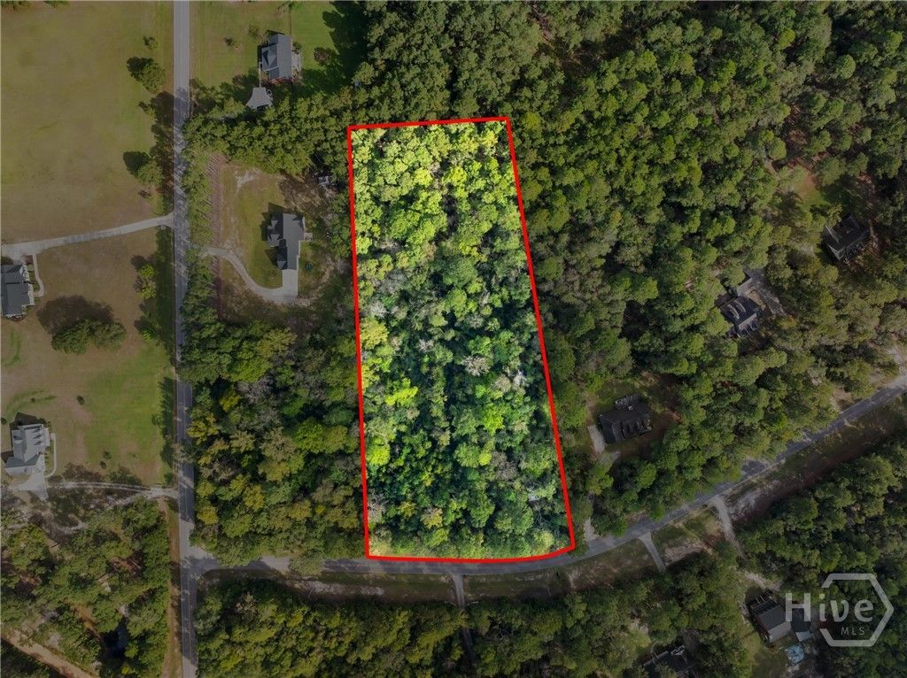 Photo of 0 Plantation Pointe Drive, Statesboro, GA 30461 (MLS # SA340903)